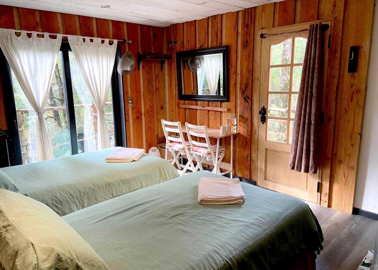 La Colmena Eco Lodge La Ensenada Ngoại thất bức ảnh