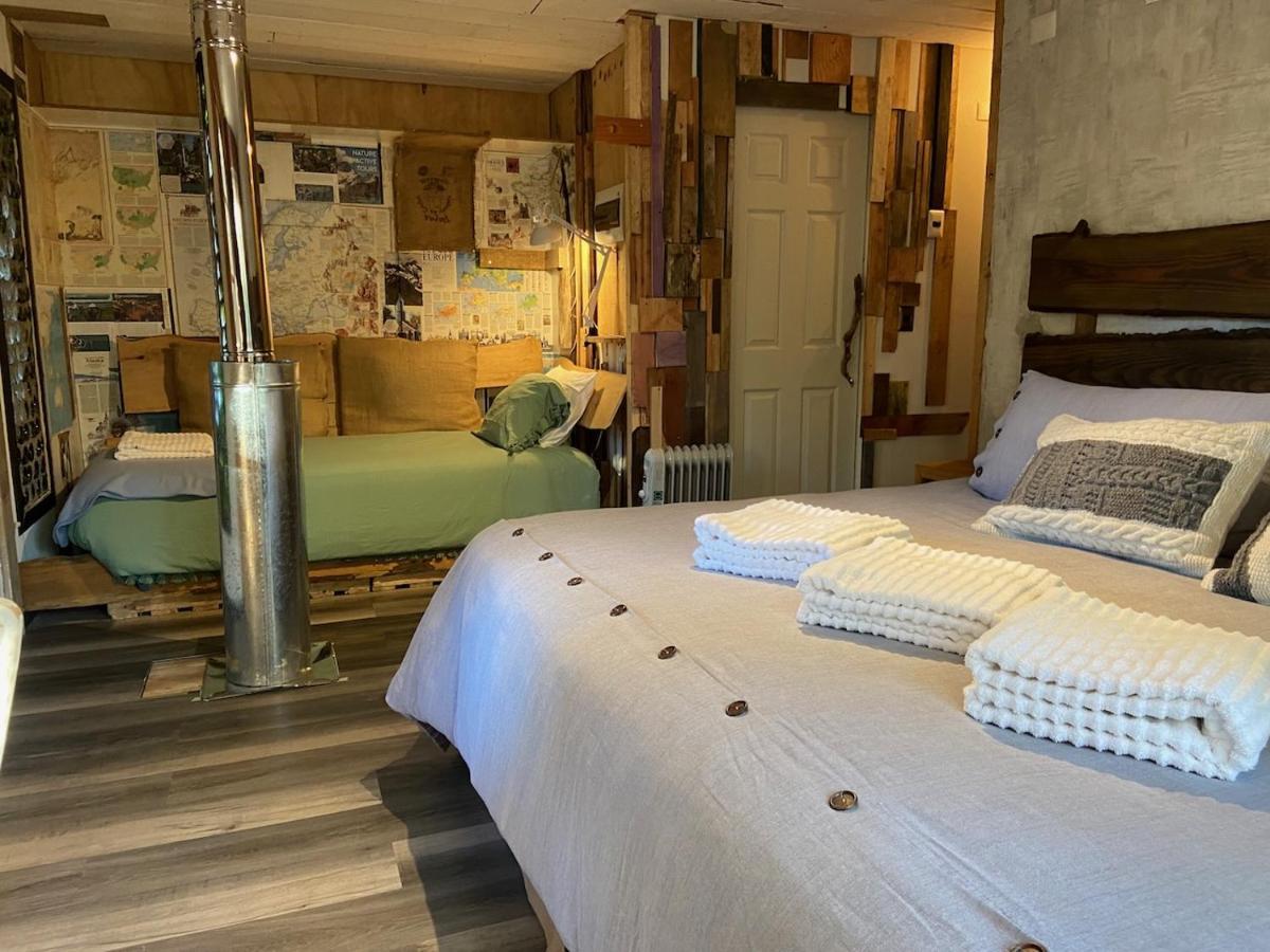 La Colmena Eco Lodge La Ensenada Ngoại thất bức ảnh