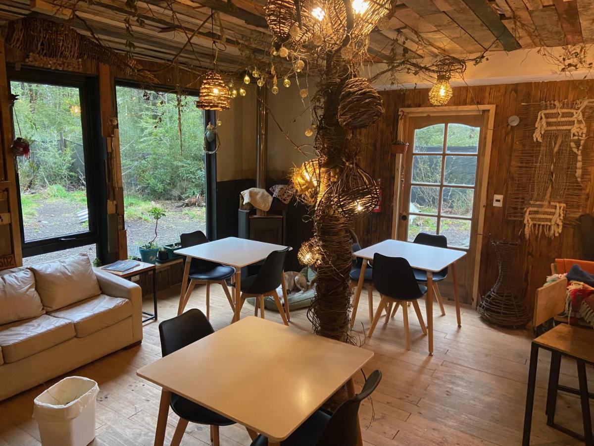 La Colmena Eco Lodge La Ensenada Ngoại thất bức ảnh