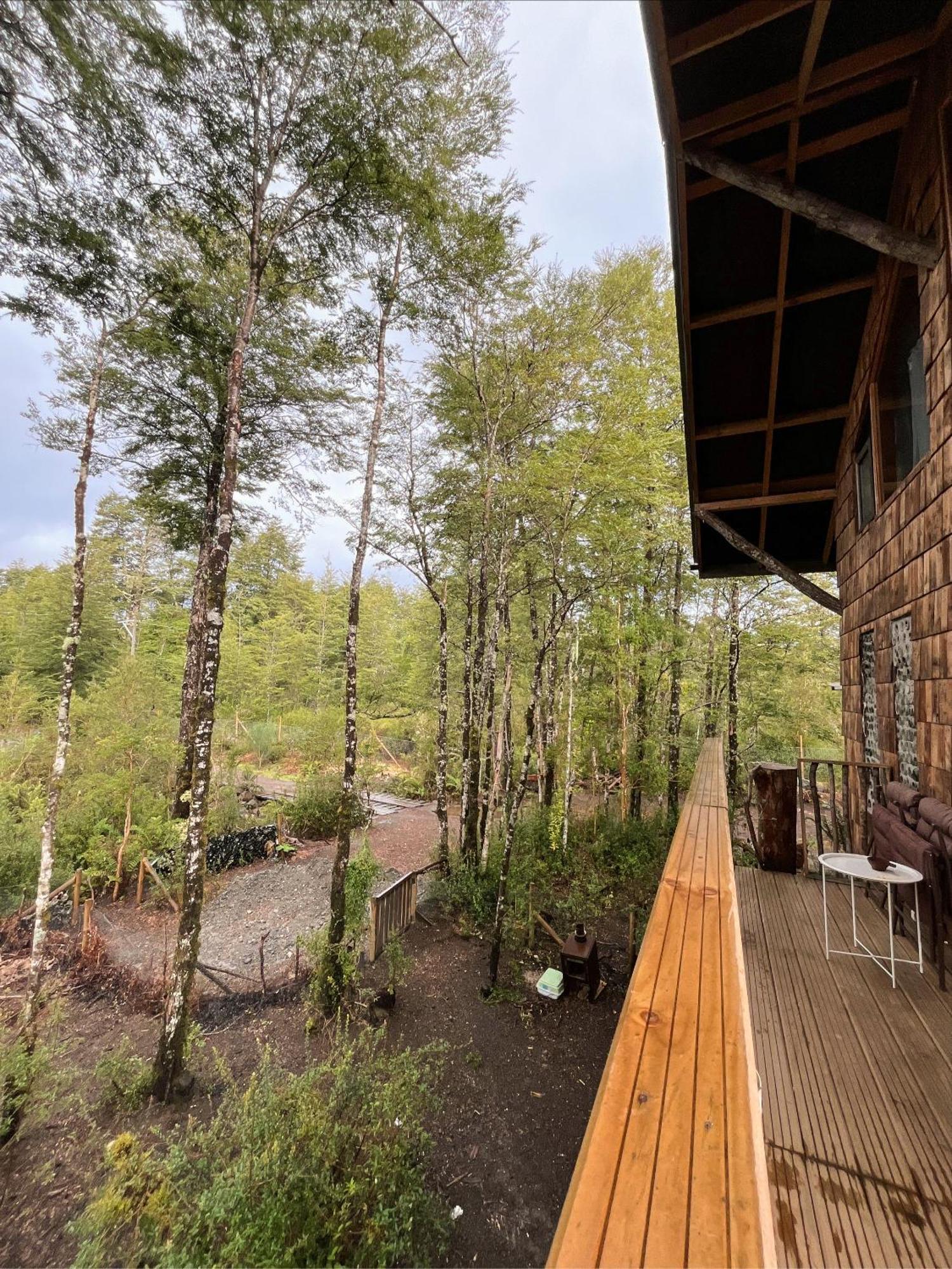 La Colmena Eco Lodge La Ensenada Ngoại thất bức ảnh